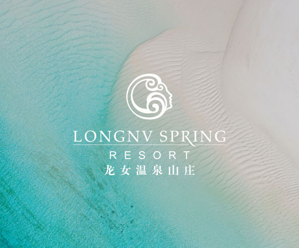 鹵鵝絕品vi設(shè)計品味獨特_讓你垂涎三尺