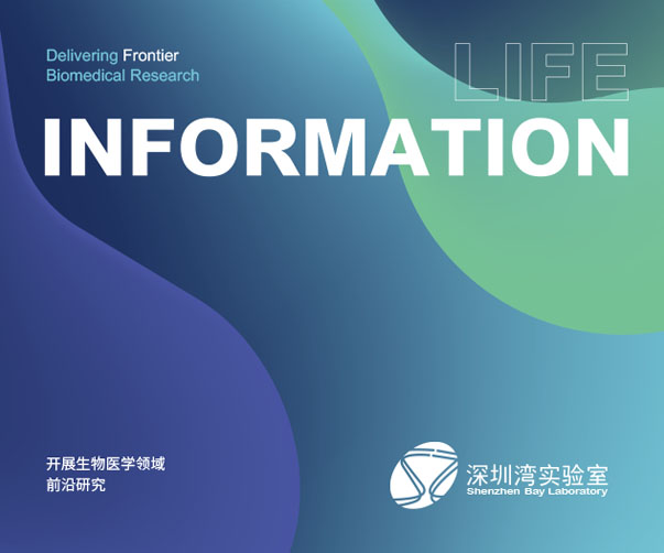 婚禮VI設(shè)計卡片專業(yè)定制-創(chuàng)意美觀-個性獨特